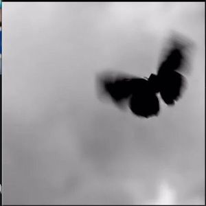 Meet your Posher, Fernanda